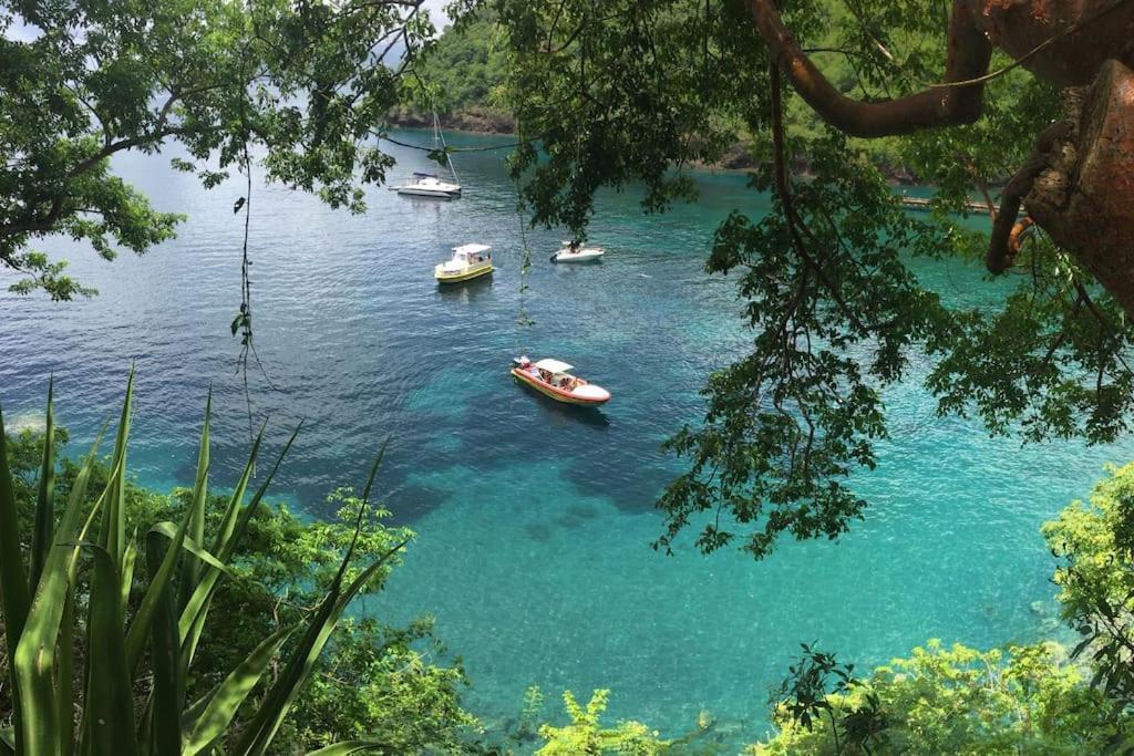 Le Marin - Bungalow Classe 3 Etoiles Tb Equipe & Confortable - Escapade En Couple - Paisible & En Toute Discretion - Wi-Fi - Climatisation - Calme & Serenite - Plages Du Sud, Centre De Carenage & Marina Du Marin Proche En Voiture - Acheminement Sur D Bagian luar foto