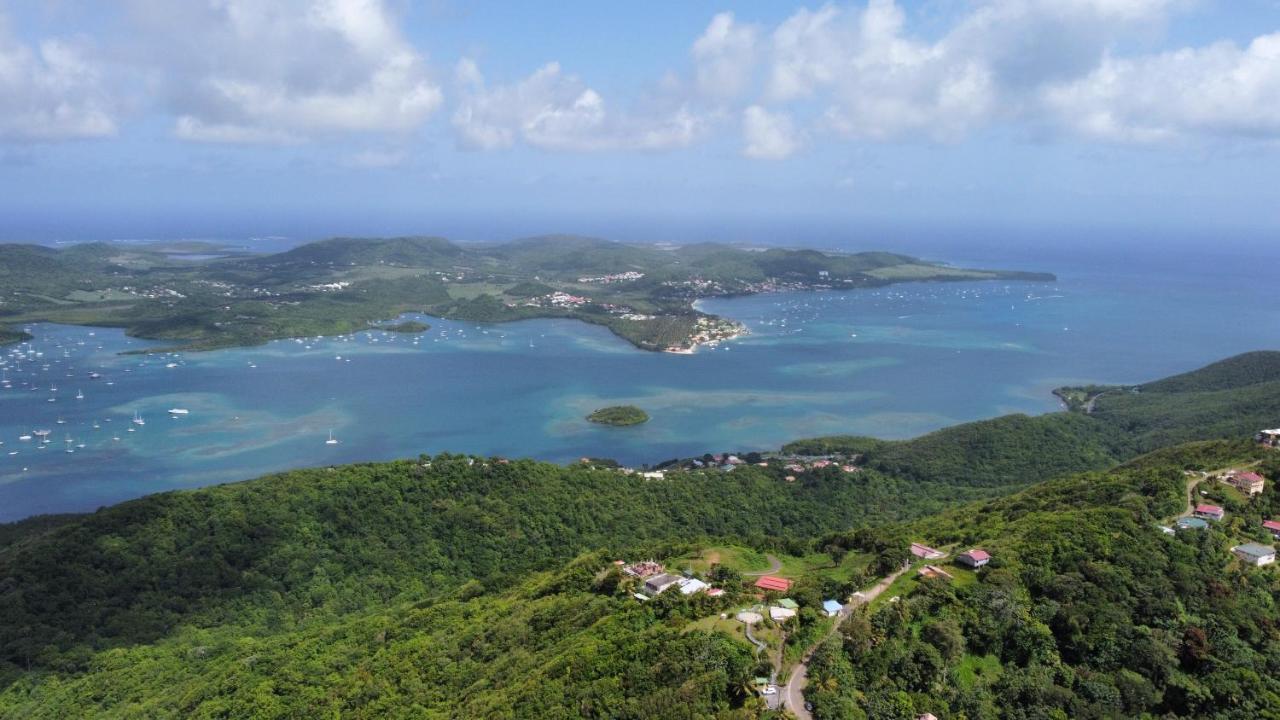 Le Marin - Bungalow Classe 3 Etoiles Tb Equipe & Confortable - Escapade En Couple - Paisible & En Toute Discretion - Wi-Fi - Climatisation - Calme & Serenite - Plages Du Sud, Centre De Carenage & Marina Du Marin Proche En Voiture - Acheminement Sur D Bagian luar foto