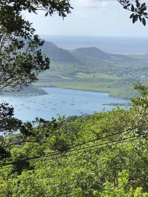 Le Marin - Bungalow Classe 3 Etoiles Tb Equipe & Confortable - Escapade En Couple - Paisible & En Toute Discretion - Wi-Fi - Climatisation - Calme & Serenite - Plages Du Sud, Centre De Carenage & Marina Du Marin Proche En Voiture - Acheminement Sur D Bagian luar foto
