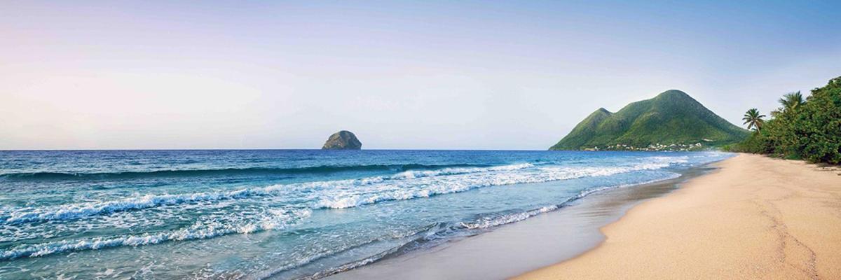Le Marin - Bungalow Classe 3 Etoiles Tb Equipe & Confortable - Escapade En Couple - Paisible & En Toute Discretion - Wi-Fi - Climatisation - Calme & Serenite - Plages Du Sud, Centre De Carenage & Marina Du Marin Proche En Voiture - Acheminement Sur D Bagian luar foto